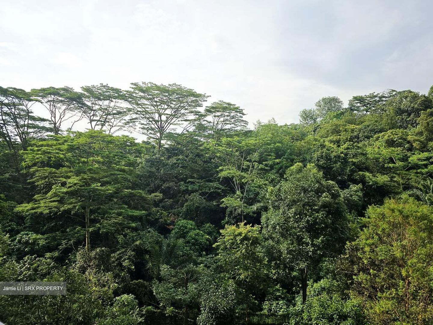 Blk 118 Sunset Way Residence (Clementi), HDB 4 Rooms #498370661